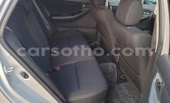 Sayi Na hannu Toyota Runx Silver Mota in Hlotse a Leribe Sayi Na hannu Toyota Runx Silver Mota in Hlotse a Leribe