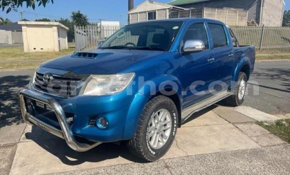 Acheter Occasion Voiture Toyota Hilux Bleu à Mokhotlong, Berea