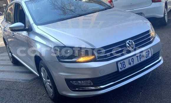 اشتري مستعمل Volkswagen Polo Silver سيارة في Maseru في Maseru اشتري مستعمل Volkswagen Polo Silver سيارة في Maseru في Maseru