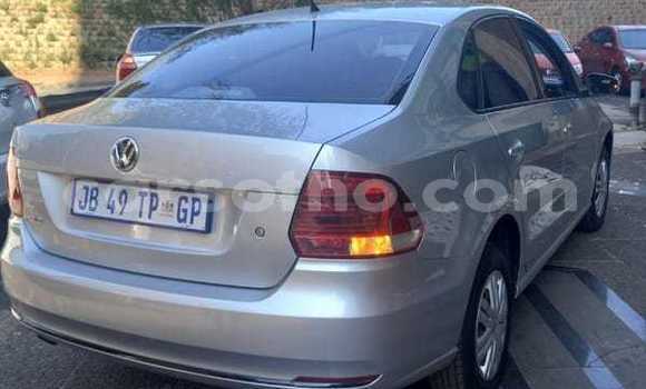 اشتري مستعمل Volkswagen Polo Silver سيارة في Maseru في Maseru اشتري مستعمل Volkswagen Polo Silver سيارة في Maseru في Maseru