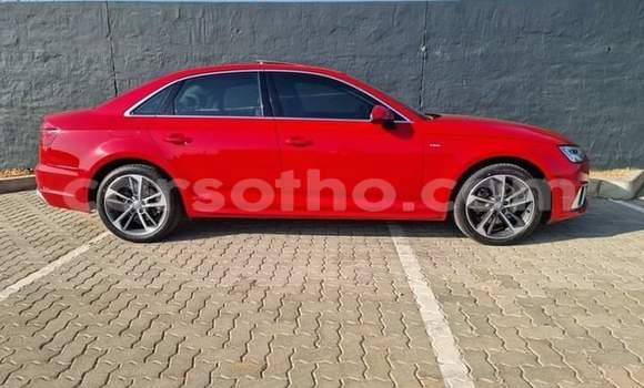 اشتري مستعمل Audi A4 Red سيارة في Maseru في Maseru اشتري مستعمل Audi A4 Red سيارة في Maseru في Maseru