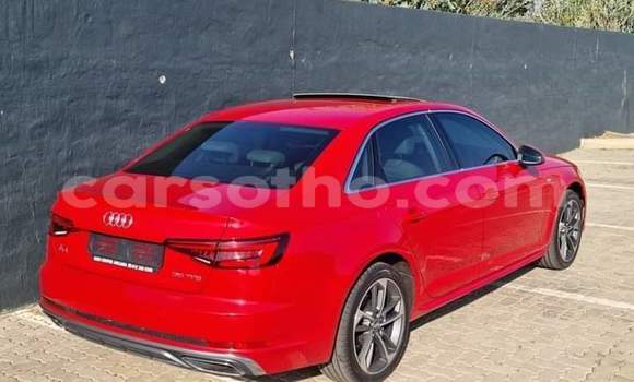 اشتري مستعمل Audi A4 Red سيارة في Maseru في Maseru اشتري مستعمل Audi A4 Red سيارة في Maseru في Maseru
