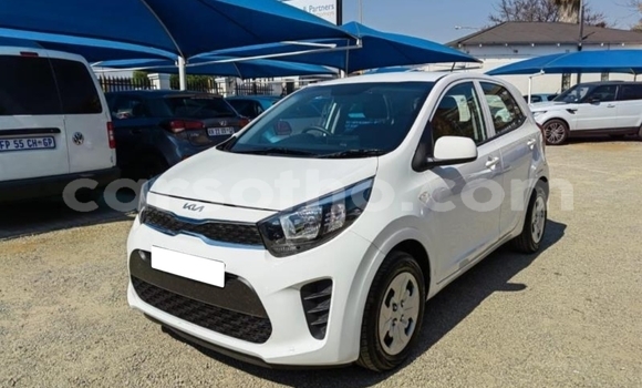 Acheter Occasion Voiture Kia Picanto Blanc à Maputsoa, Leribe
