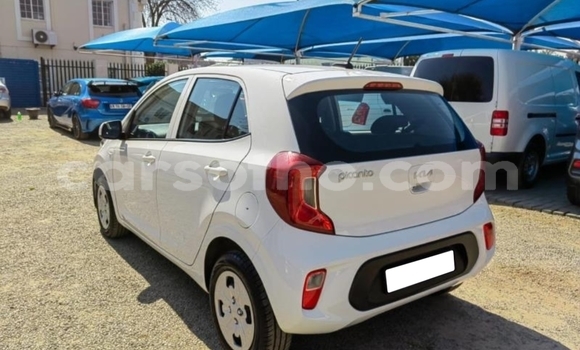 Sayi Na hannu Kia Picanto White Mota in Maputsoa a Leribe Sayi Na hannu Kia Picanto White Mota in Maputsoa a Leribe