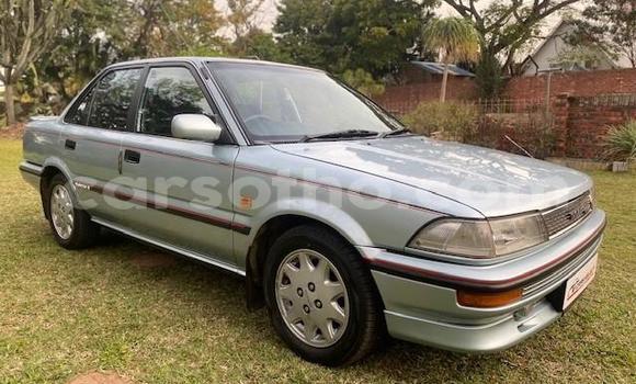 Acheter Occasion Voiture Toyota Corolla Autre à Maseru, Maseru