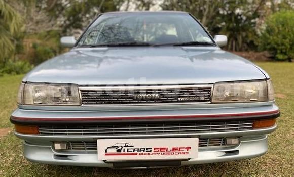 اشتري مستعمل Toyota Corolla Other سيارة في Maseru في Maseru اشتري مستعمل Toyota Corolla Other سيارة في Maseru في Maseru