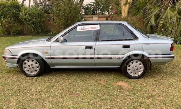 اشتري مستعمل Toyota Corolla Other سيارة في Maseru في Maseru اشتري مستعمل Toyota Corolla Other سيارة في Maseru في Maseru