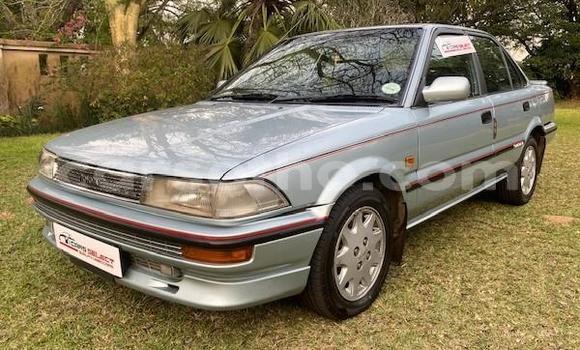 اشتري مستعمل Toyota Corolla Other سيارة في Maseru في Maseru اشتري مستعمل Toyota Corolla Other سيارة في Maseru في Maseru
