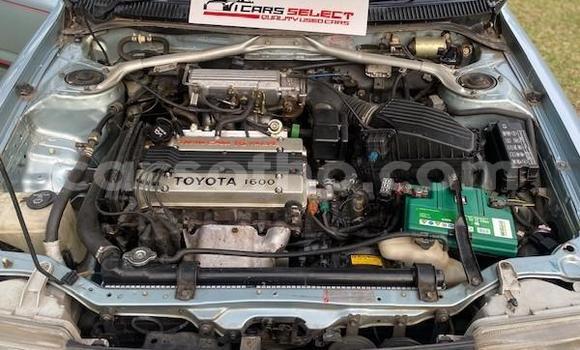 اشتري مستعمل Toyota Corolla Other سيارة في Maseru في Maseru اشتري مستعمل Toyota Corolla Other سيارة في Maseru في Maseru