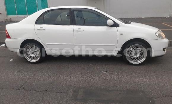 اشتري مستعمل Toyota Corolla White سيارة في Maseru في Maseru اشتري مستعمل Toyota Corolla White سيارة في Maseru في Maseru