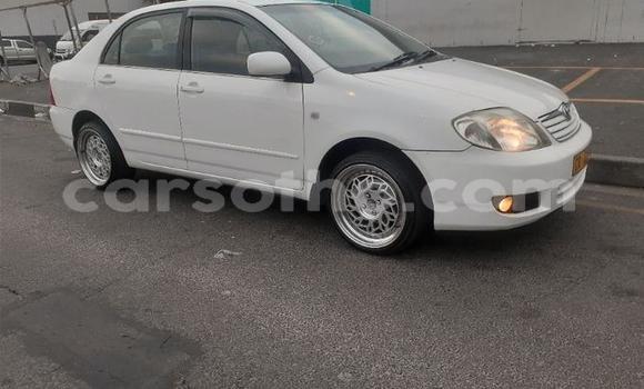 اشتري مستعمل Toyota Corolla White سيارة في Maseru في Maseru اشتري مستعمل Toyota Corolla White سيارة في Maseru في Maseru