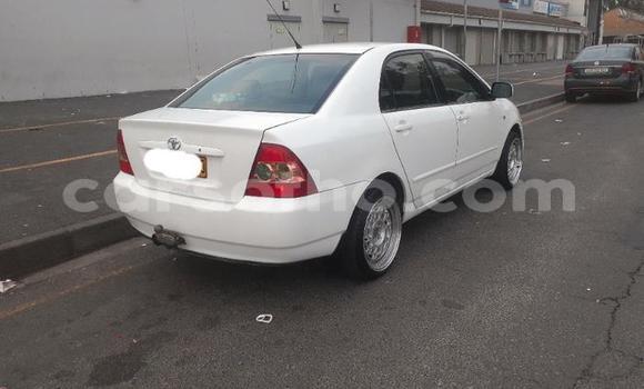 اشتري مستعمل Toyota Corolla White سيارة في Maseru في Maseru اشتري مستعمل Toyota Corolla White سيارة في Maseru في Maseru