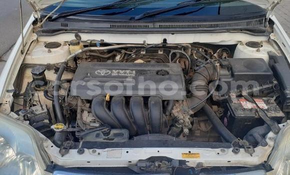 اشتري مستعمل Toyota Corolla White سيارة في Maseru في Maseru اشتري مستعمل Toyota Corolla White سيارة في Maseru في Maseru