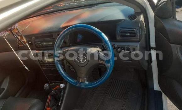 اشتري مستعمل Toyota Corolla White سيارة في Maseru في Maseru اشتري مستعمل Toyota Corolla White سيارة في Maseru في Maseru