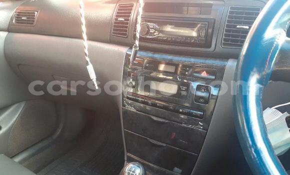 اشتري مستعمل Toyota Corolla White سيارة في Maseru في Maseru اشتري مستعمل Toyota Corolla White سيارة في Maseru في Maseru