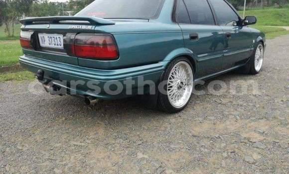 اشتري مستعمل Toyota Corolla Other سيارة في Maseru في Maseru اشتري مستعمل Toyota Corolla Other سيارة في Maseru في Maseru