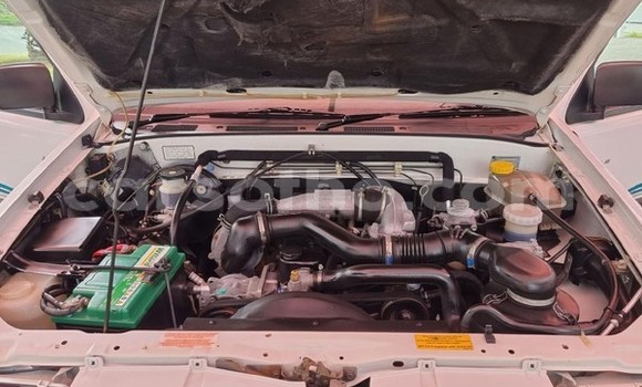 اشتري مستعمل Isuzu KB White سيارة في Maseru في Maseru اشتري مستعمل Isuzu KB White سيارة في Maseru في Maseru