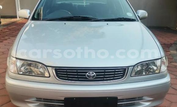 Buy Used Toyota Corolla Silver Car in Maseru in Maseru