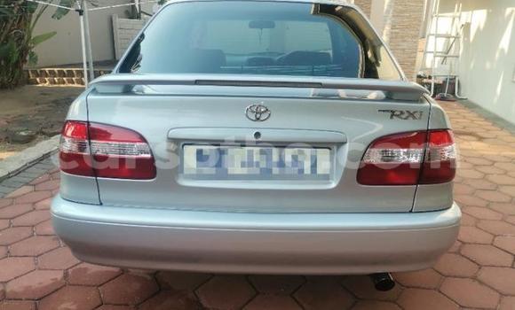 Sayi Na hannu Toyota Corolla Silver Mota in Maseru a Maseru Sayi Na hannu Toyota Corolla Silver Mota in Maseru a Maseru