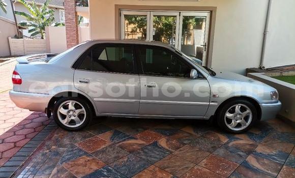 Sayi Na hannu Toyota Corolla Silver Mota in Maseru a Maseru Sayi Na hannu Toyota Corolla Silver Mota in Maseru a Maseru