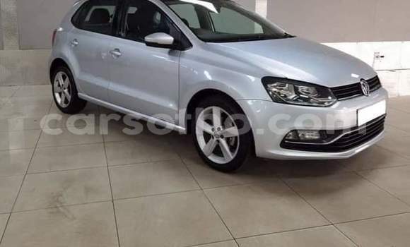 Buy Used Volkswagen Polo Silver Car in Maseru in Maseru Buy Used Volkswagen Polo Silver Car in Maseru in Maseru