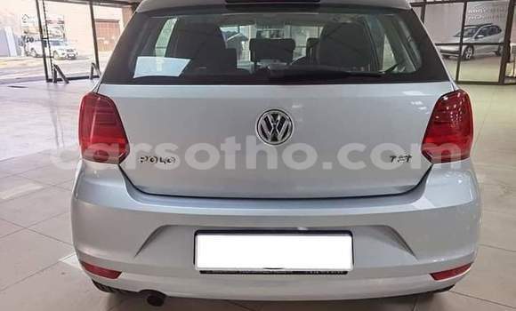 Buy Used Volkswagen Polo Silver Car in Maseru in Maseru Buy Used Volkswagen Polo Silver Car in Maseru in Maseru