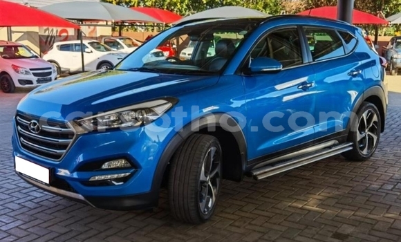 Sayi Na hannu Hyundai Tucson Blue Mota in Maputsoe a Leribe Sayi Na hannu Hyundai Tucson Blue Mota in Maputsoe a Leribe