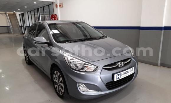 Buy Used Hyundai Accent Other Car in Maseru in Maseru