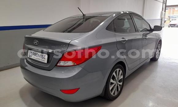 Buy Used Hyundai Accent Other Car in Maseru in Maseru Buy Used Hyundai Accent Other Car in Maseru in Maseru