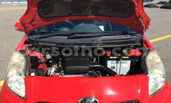اشتري مستعمل Toyota Vitz Red سيارة في Maseru في Maseru اشتري مستعمل Toyota Vitz Red سيارة في Maseru في Maseru