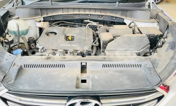 Buy Used Hyundai Tucson Silver Car in Hlotse in Leribe Buy Used Hyundai Tucson Silver Car in Hlotse in Leribe