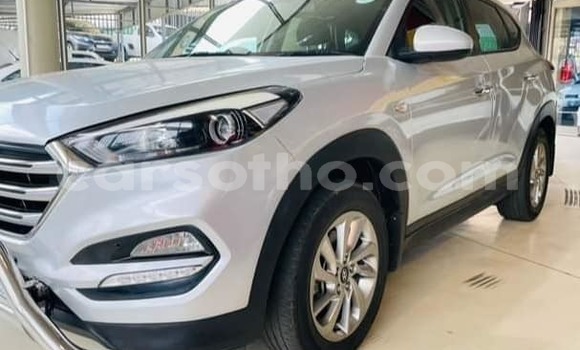 Buy Used Hyundai Tucson Silver Car in Hlotse in Leribe Buy Used Hyundai Tucson Silver Car in Hlotse in Leribe