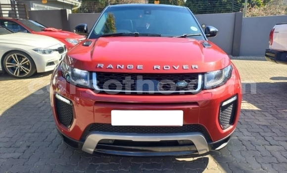 Acheter Occasion Voiture Land Rover Range Rover Evoque Rouge à Maputsoe, Leribe Acheter Occasion Voiture Land Rover Range Rover Evoque Rouge à Maputsoe, Leribe