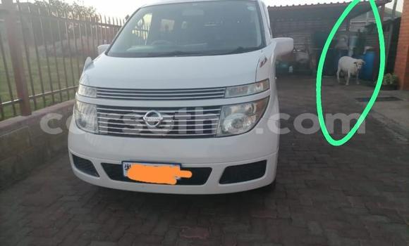 Buy Used Nissan Elgrand White Car in Maseru in Maseru Buy Used Nissan Elgrand White Car in Maseru in Maseru