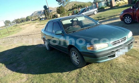 Buy Used Toyota Corolla Green Car in Maseru in Maseru Buy Used Toyota Corolla Green Car in Maseru in Maseru