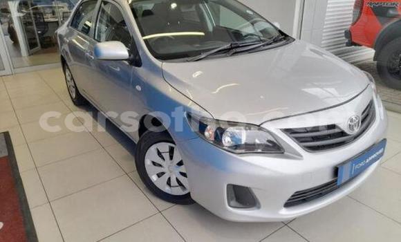 Acheter Occasion Voiture Toyota Corolla Gris à Maseru, Maseru