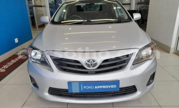 Acheter Occasion Voiture Toyota Corolla Gris à Maseru, Maseru Acheter Occasion Voiture Toyota Corolla Gris à Maseru, Maseru