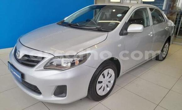 Acheter Occasion Voiture Toyota Corolla Gris à Maseru, Maseru Acheter Occasion Voiture Toyota Corolla Gris à Maseru, Maseru