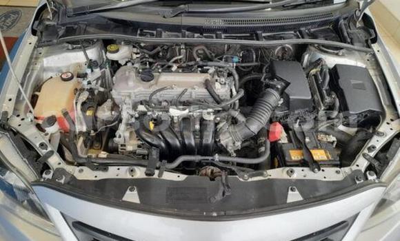 Acheter Occasion Voiture Toyota Corolla Gris à Maseru, Maseru Acheter Occasion Voiture Toyota Corolla Gris à Maseru, Maseru