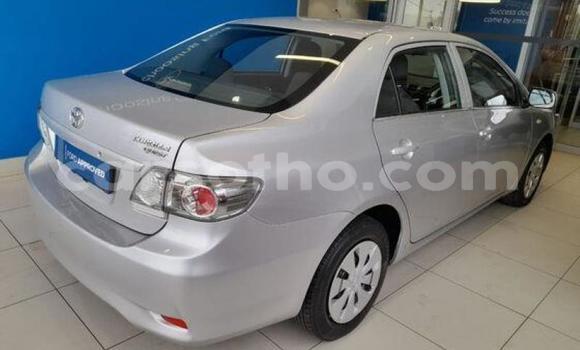 Acheter Occasion Voiture Toyota Corolla Gris à Maseru, Maseru Acheter Occasion Voiture Toyota Corolla Gris à Maseru, Maseru