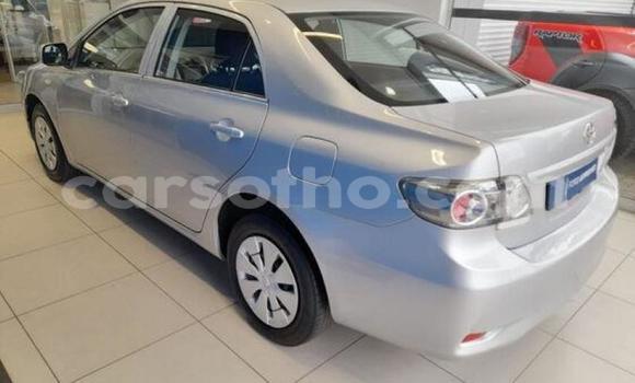 Acheter Occasion Voiture Toyota Corolla Gris à Maseru, Maseru Acheter Occasion Voiture Toyota Corolla Gris à Maseru, Maseru