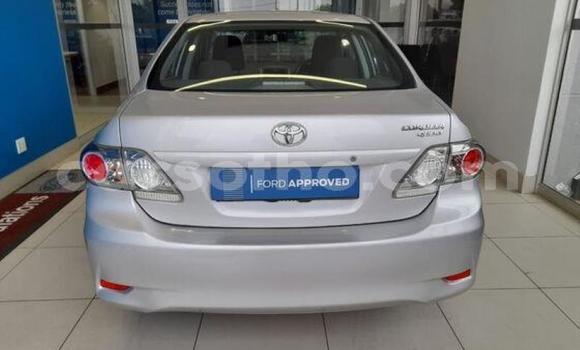 Acheter Occasion Voiture Toyota Corolla Gris à Maseru, Maseru Acheter Occasion Voiture Toyota Corolla Gris à Maseru, Maseru