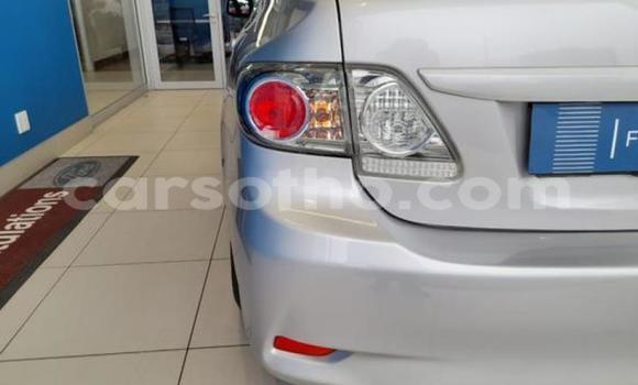 Acheter Occasion Voiture Toyota Corolla Gris à Maseru, Maseru Acheter Occasion Voiture Toyota Corolla Gris à Maseru, Maseru