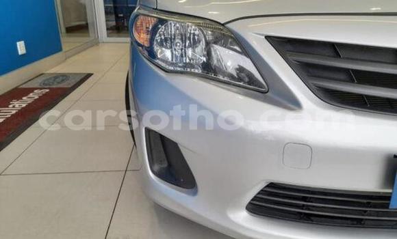 Acheter Occasion Voiture Toyota Corolla Gris à Maseru, Maseru Acheter Occasion Voiture Toyota Corolla Gris à Maseru, Maseru