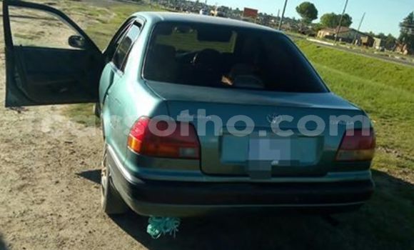 Buy Used Toyota Corolla Green Car in Maseru in Maseru Buy Used Toyota Corolla Green Car in Maseru in Maseru