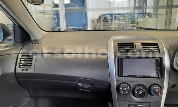 Acheter Occasion Voiture Toyota Corolla Gris à Maseru, Maseru Acheter Occasion Voiture Toyota Corolla Gris à Maseru, Maseru