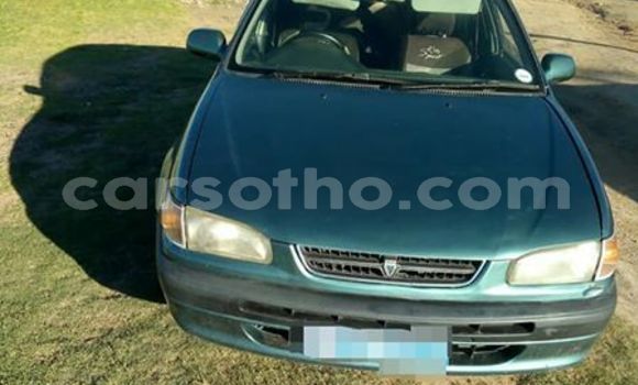 Buy Used Toyota Corolla Green Car in Maseru in Maseru Buy Used Toyota Corolla Green Car in Maseru in Maseru