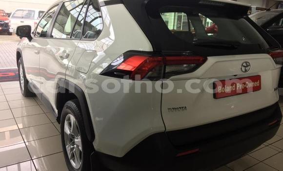 Sayi Na hannu Toyota RAV4 White Mota in Maseru a Maseru Sayi Na hannu Toyota RAV4 White Mota in Maseru a Maseru