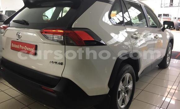 Sayi Na hannu Toyota RAV4 White Mota in Maseru a Maseru Sayi Na hannu Toyota RAV4 White Mota in Maseru a Maseru