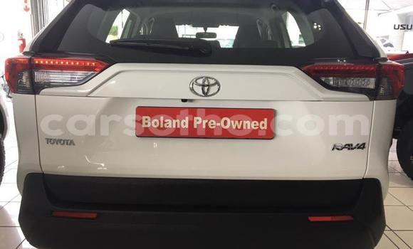 Sayi Na hannu Toyota RAV4 White Mota in Maseru a Maseru Sayi Na hannu Toyota RAV4 White Mota in Maseru a Maseru